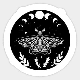 moth night moonphase vegetation plants Sticker